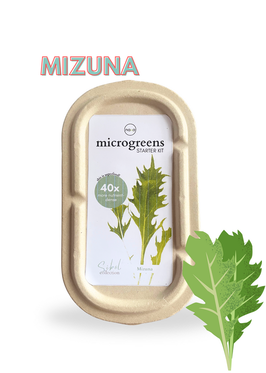 MIZUNA MICROGREENS GROW KIT
