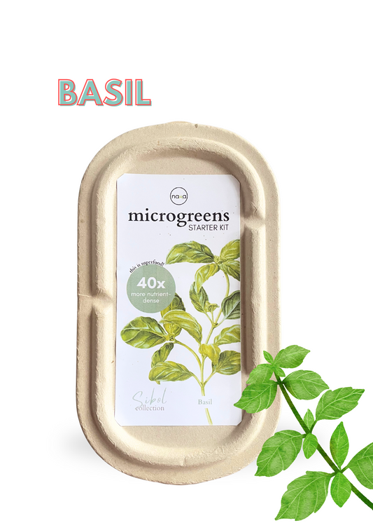 BASIL MICROGREENS GROW KIT By NAMA