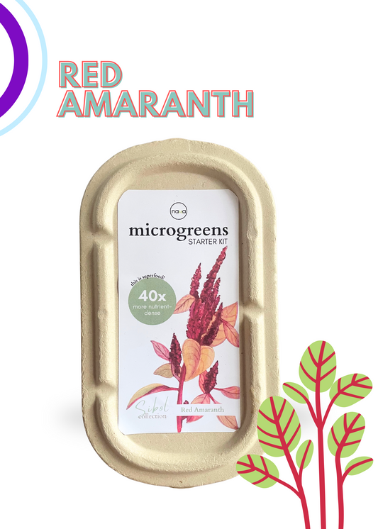RED AMARANTH MICROGREENS GROWKIT By NAMA